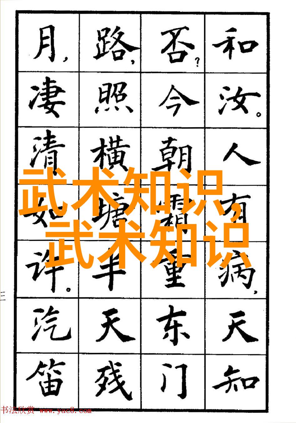 大婶的肥沃土地一篇关于农业传承与自然和谐的故事