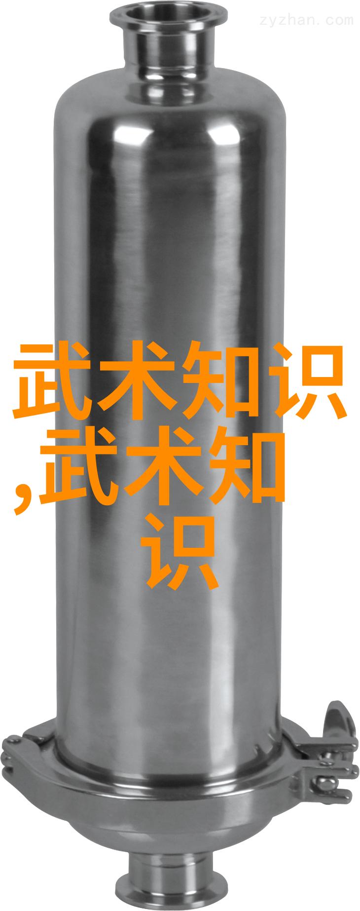 杨式大架中架小架武术拳法中的宏微之对比