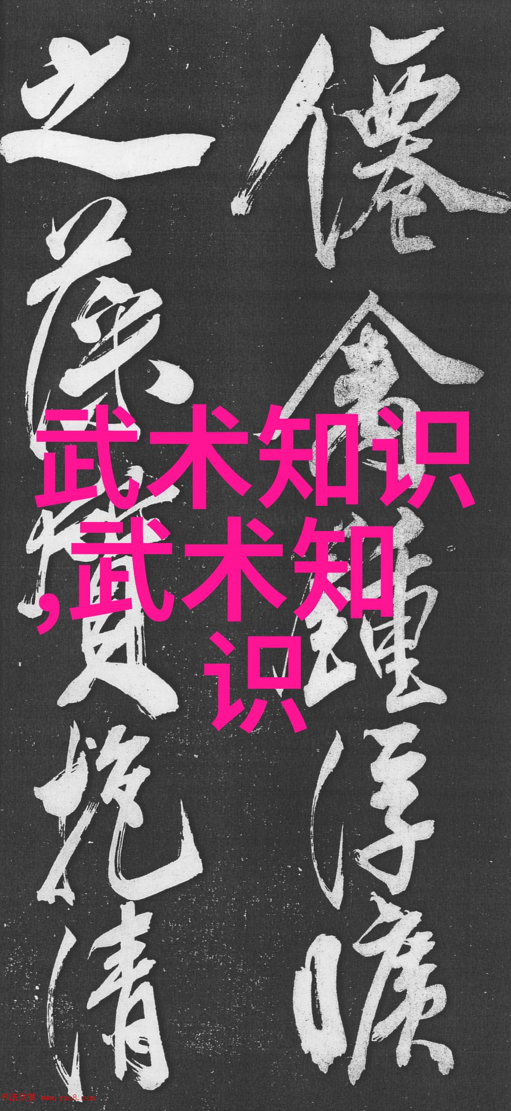 中国最强门派自然中的功力拳
