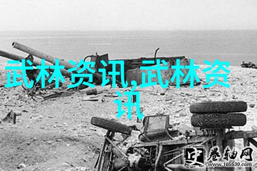 安徽武林门派传说中的72式迷踪艺藏于古籍之中仿佛是一种能够赋予物品神秘力量的秘密