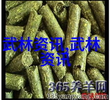 在现代探险中重现往昔辉煌我们能否找到真正属于人类世界以外的地方吗