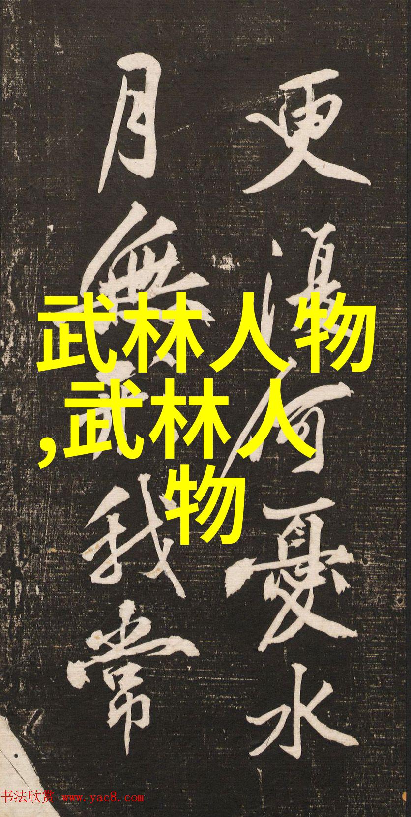 安徽武林秘籍揭秘岳家拳的传统与魅力