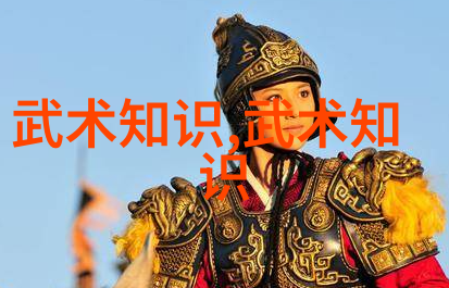武林秘笈揭秘中国武术十大拳法之争霸王者