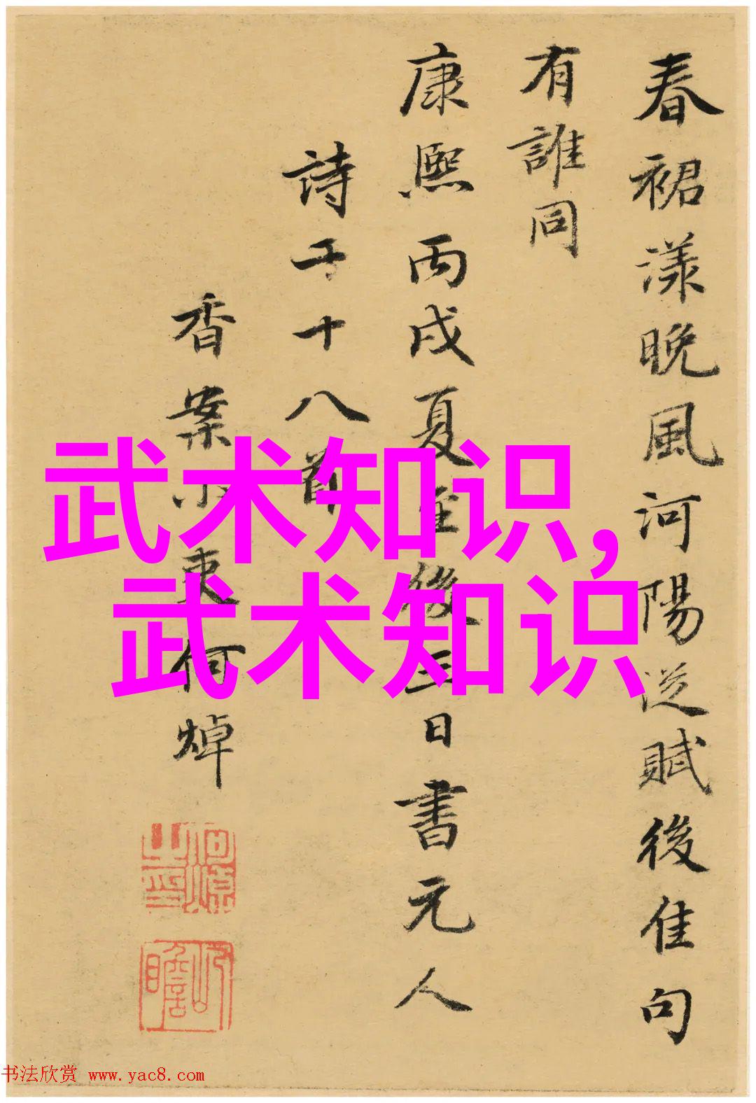 探索武侠世界如何开始学习中国功夫