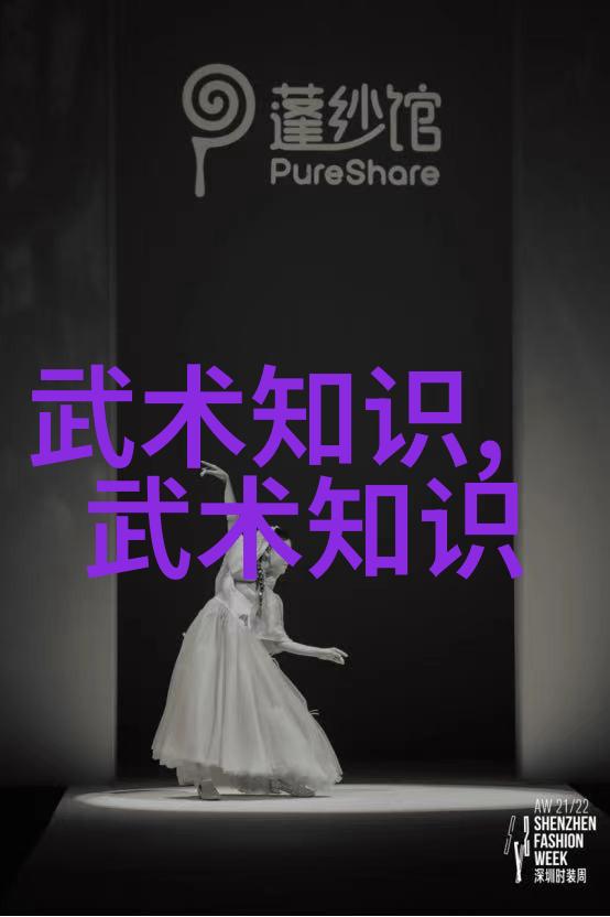 中国武术的丰富魅力揭秘各地门派之谜