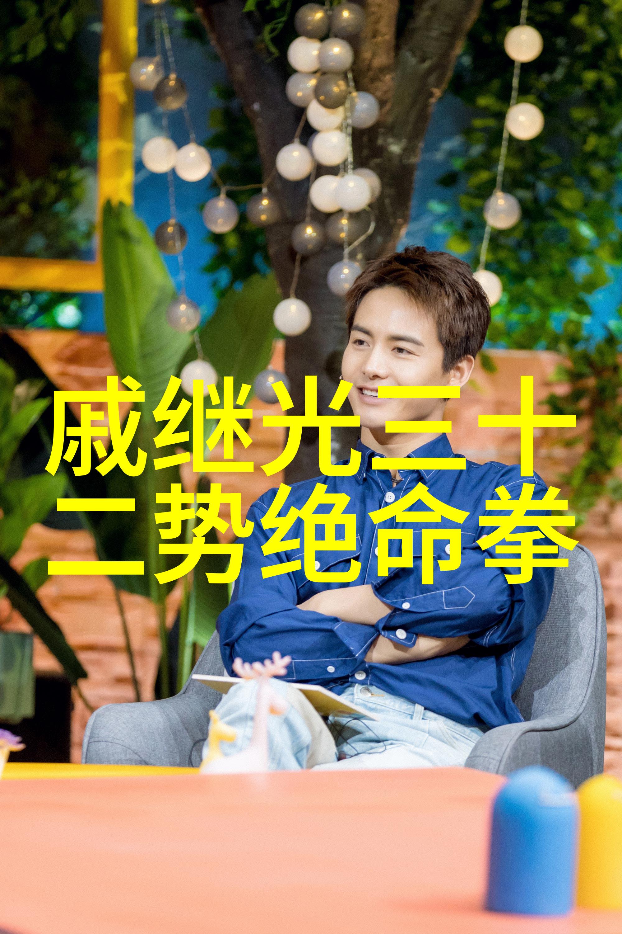 中华武术大师流派中国传统武术的精髓与代表