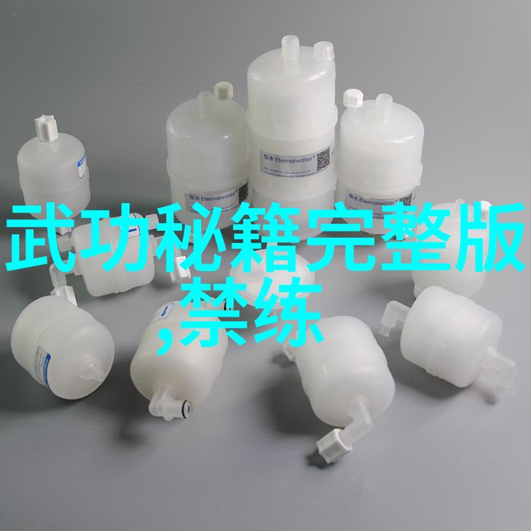 少林拳的奥秘掌握内家外家的技巧