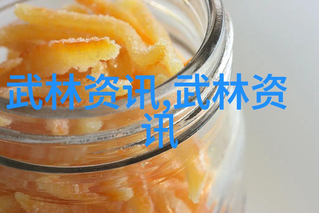 实战演练与理论讲解李小龙功夫教学视频中的双重魅力