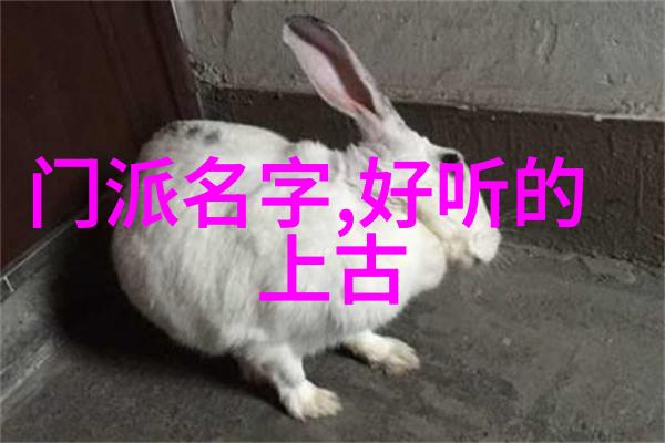 武术资料网沉默中的拳影