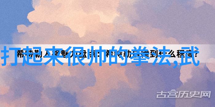 武功秘籍大全图片欣赏穿越时空的打斗美学