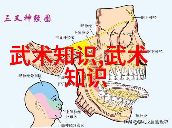 拳击手套的对决小克与海耶的故事