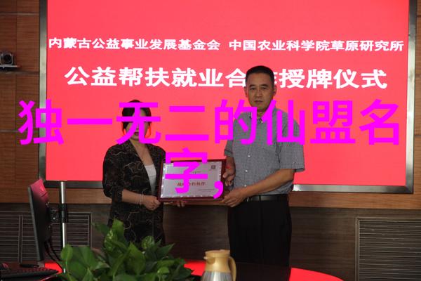 王文贤讲解简化24式太极拳的反复分解教学揭示套路核心要素