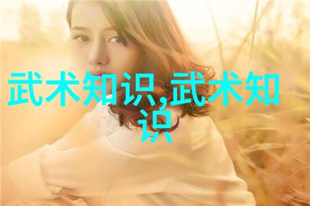 武林争霸之路解析中国各大门派的实战策略
