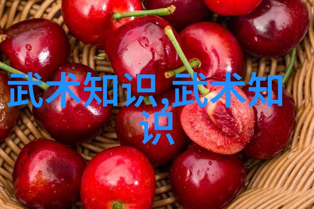 2021年真实拳击档案揭秘一月份最激烈的搏斗
