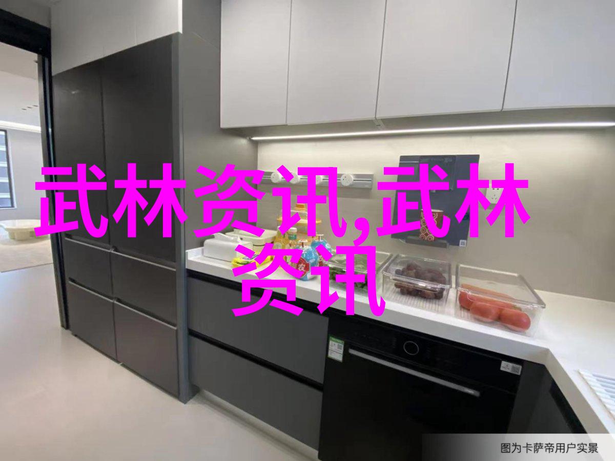 世界拳法之巅揭秘最狠的打击技巧