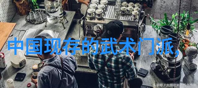 安徽武林中的离合拳如同一门独特的艺术能将断绝的联系重新拉tight