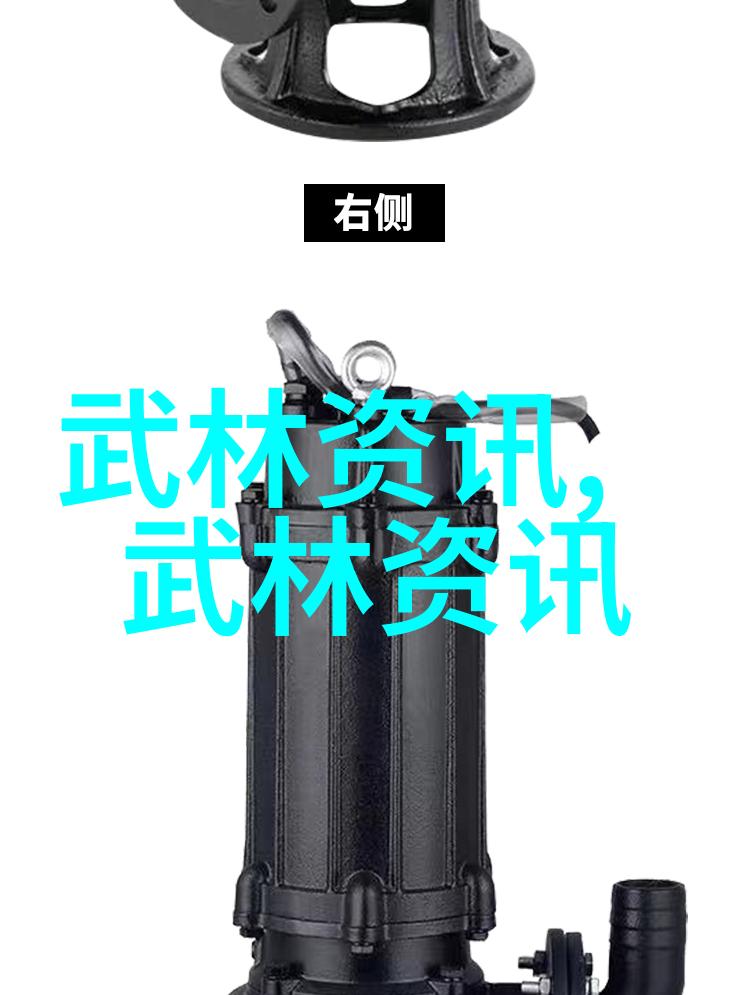 霸道风云幽灵影翼帮派的崛起与辉煌