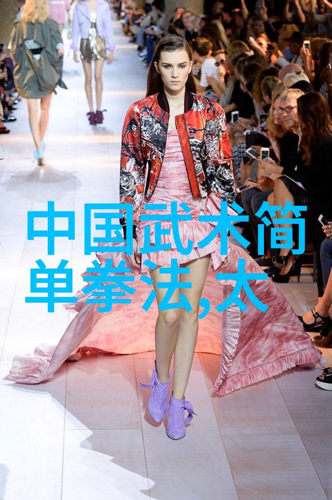 武林秘笈少林拳法全集
