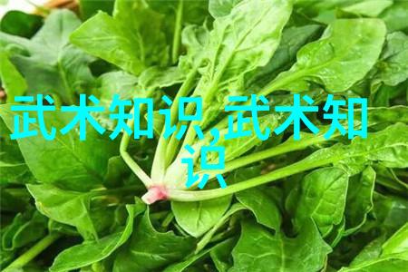 四奇遇见未来科技如何改变我们的奇迹观念