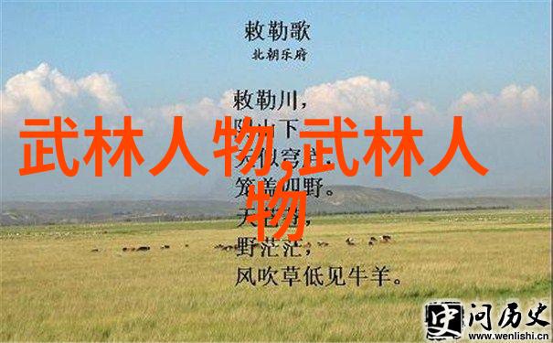 太极之韵24式简化拳的舞动美学探究