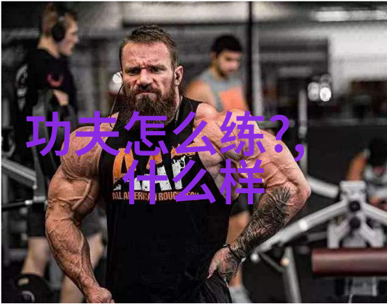 拳影中的谜团揭秘形意拳最忌之式