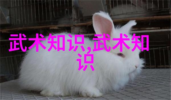 武林高手论道厨师与拳脚之间的对决