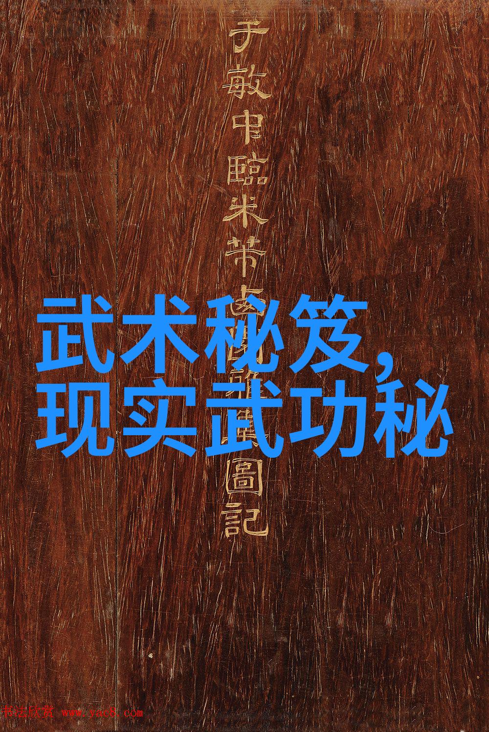 白眉派绝学揭秘武林神功