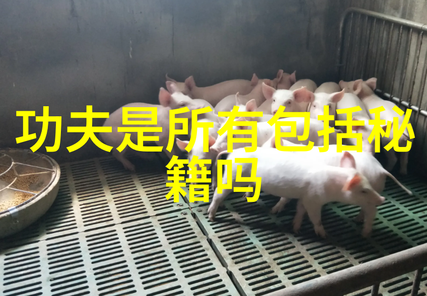 武林资讯无声世界的有声武林梦想