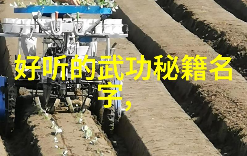 十三式太极拳分解动作内外八卦掌单鞭三环套手等基本招式详解