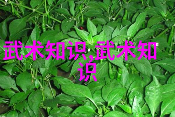 武林传人沈纪根杨式太极拳的杰出继承者