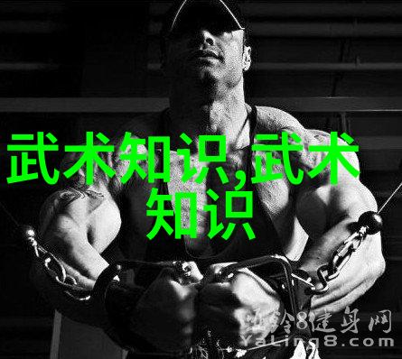 古今长存探索唯美古风仙盟名字的艺术与魅力