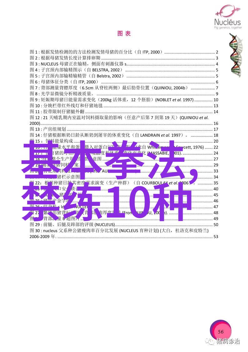 十个关键要点理解二十四式简化太极拳的精髓