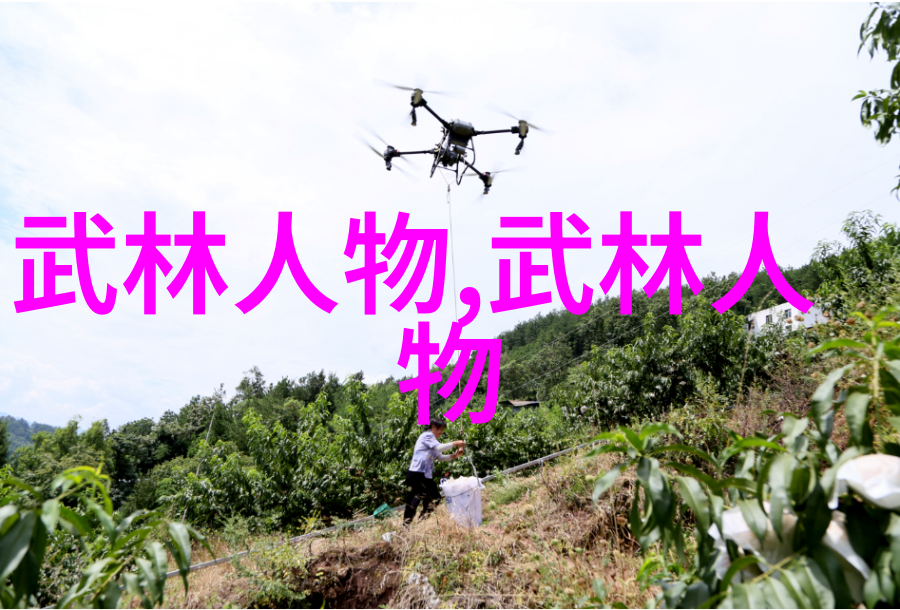古风帮派何氏弹腿在自然之中