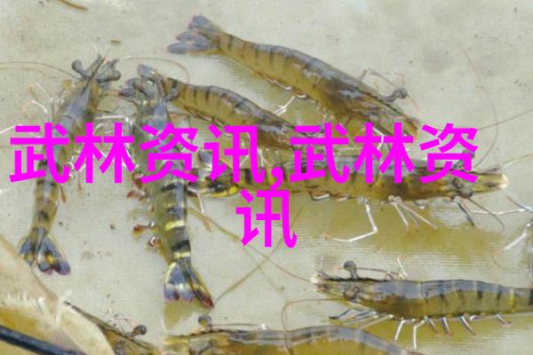 如何评价中国武术中的一些独特而复杂的拳式名称如五行式七星手势等