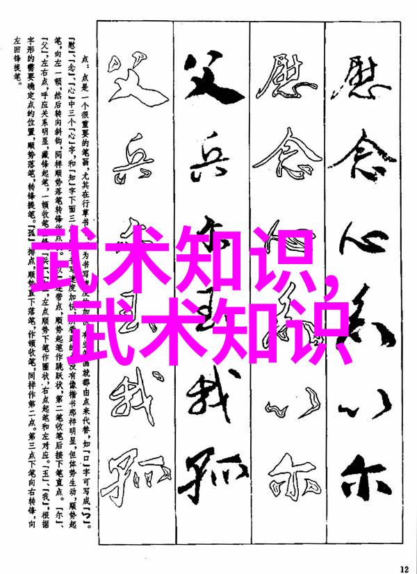 武林门派概览拳艺与器械之争