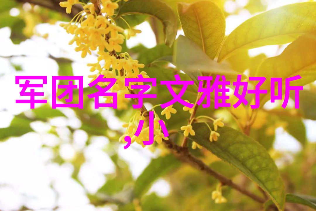 好听的帮派名字适合女生-绮丽之翼创意帮派名选女神