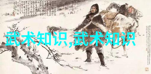 武林秘籍大全太极拳静心慢练之活桩篇