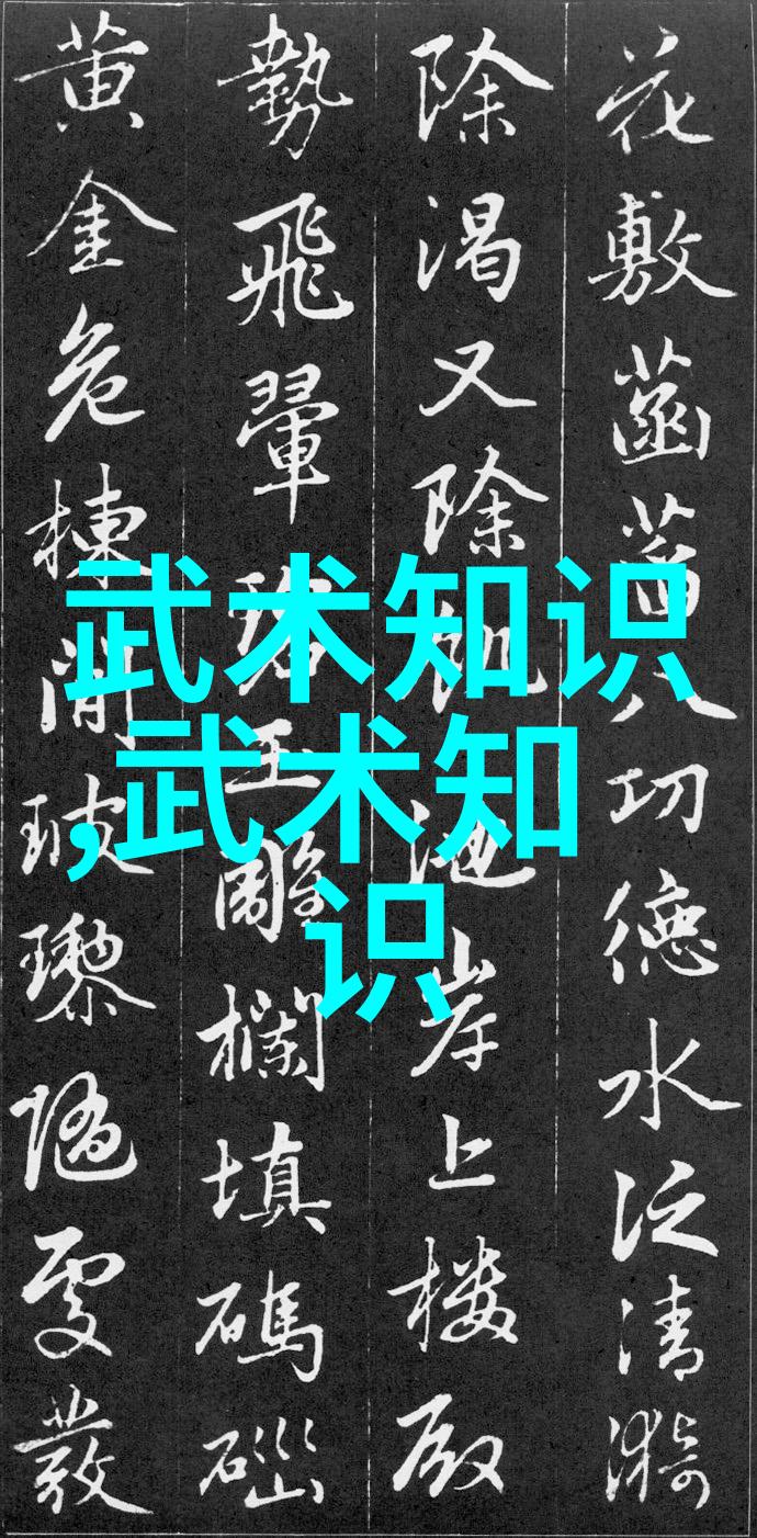 武术活动名称大全-绝技大汇编武术活动的精彩篇章