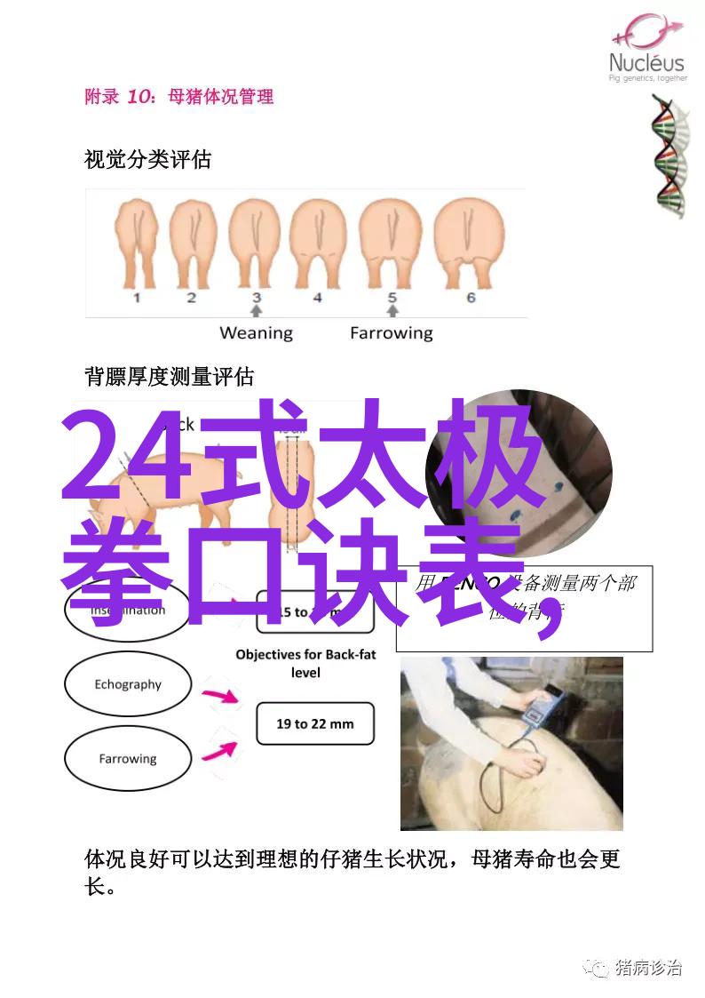 湖南武术门派 - 湘江流韵探索湖南传统武学的精髓