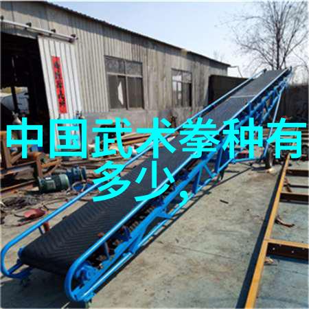 武林秘籍汇编拳法之谜