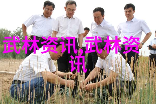 绚丽女巾好听帮派名字的创意之选