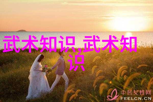 初学武术套路拳法掌握基础技巧与安全操作