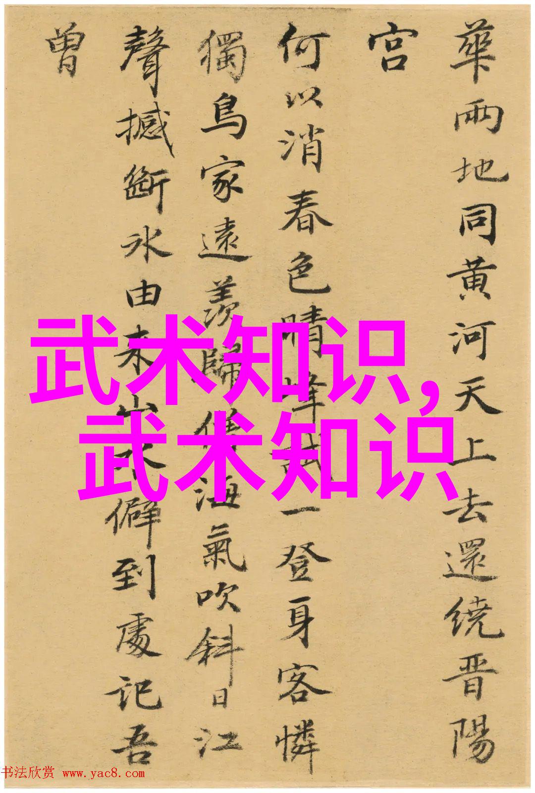 武术高手们所追寻的至宝其内容又有何不同之处