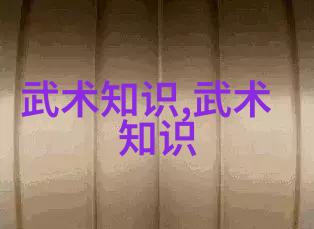 王文贤讲解太极拳套路的核心要素武术教程反复探究精髓