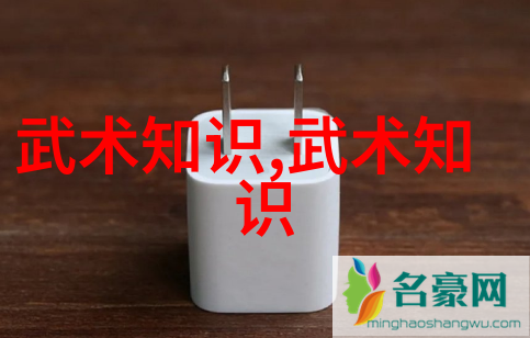 中国最著名的武术流派我来告诉你一门让人惊叹的秘密揭秘江湖中的影子功夫