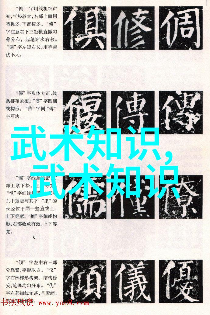 少儿散打武术教育研究身体素质提升与社会适应力培养的综合分析