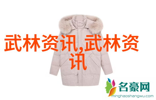 武术基本功网站 - 掌握内外兼修武学基础训练的全方位指南