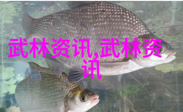 霸气仙盟名字四个字 - 霸道天尊四字命名揭秘