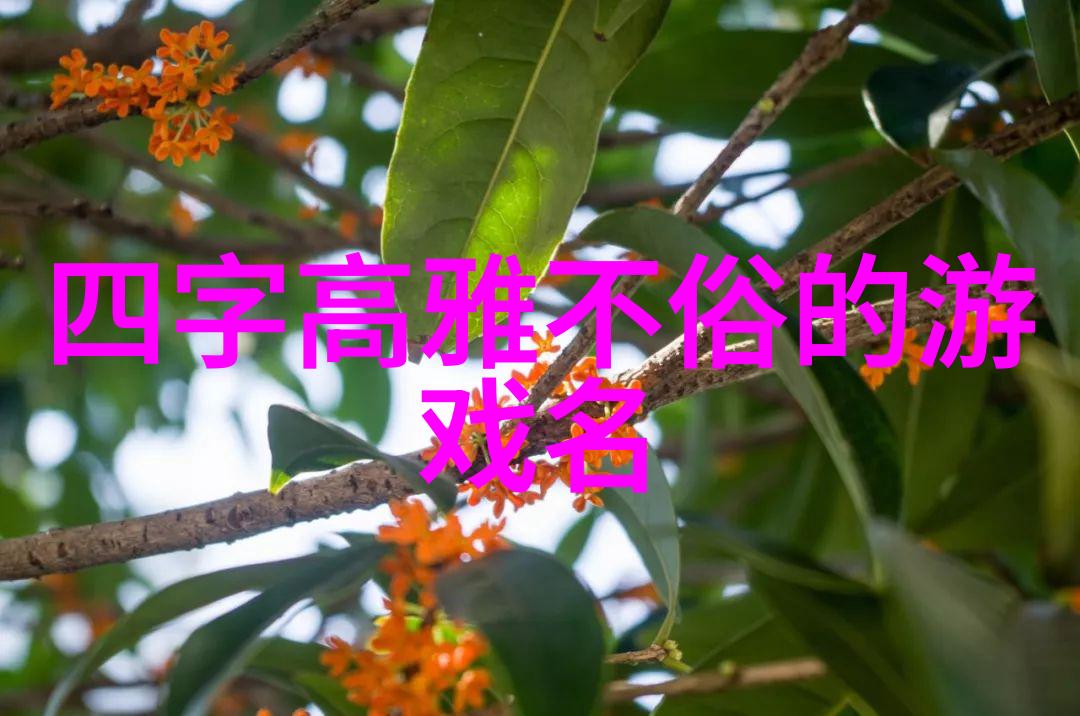 意境古朴高雅的苗族蚩尤拳门派拳种