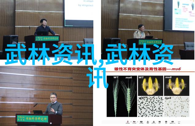 中国神秘的修真之路揭秘那些被遗忘的门派